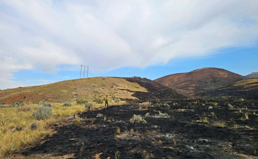 Photos of the Rocky Canyon Fire shared on the morning of Aug. 11, 2026.