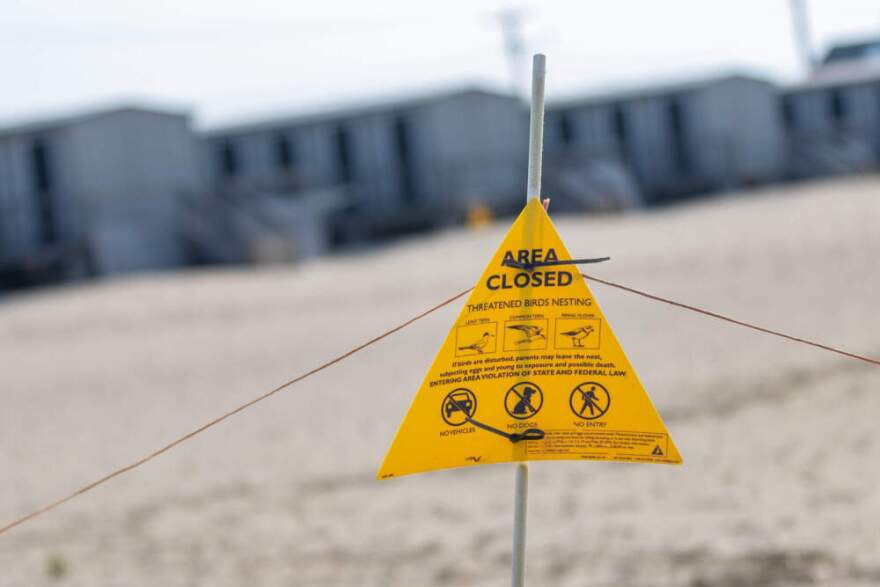 A sign warning people not to enter the cordened off area because of endangered nesting birds in front of the bathhouses at the Craigville Beach Association in Barnstable. (Jesse Costa/WBUR)