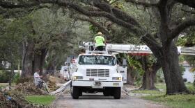 Most of the outages caused by Hurricane Irma last year were from flying debris, namely overgrown trees, knocking out above-ground power lines, according to Florida Power & Light.