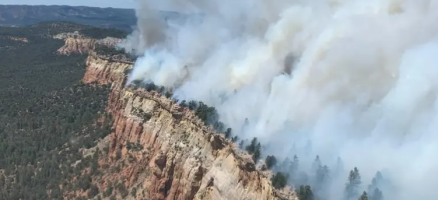 Laguna Fire, near Gallina, N.M., July 2025.