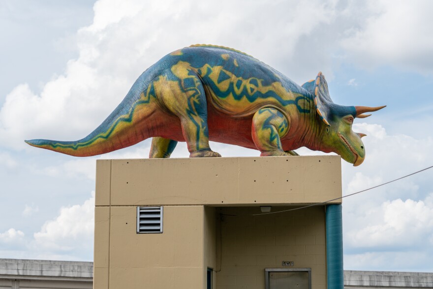 The popular triceratops statue has returned to the public eye at the Kentucky Science Center.