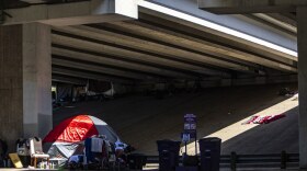 An encampment of people experiencing homelessness under SH 71 in South Austin
