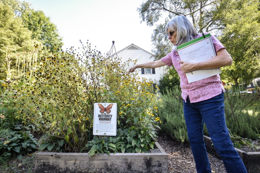 Stonehaven resident Donna Bolls points out a small bee buzzing through her box of black-eyed Susans on Thursday, Sept. 1.