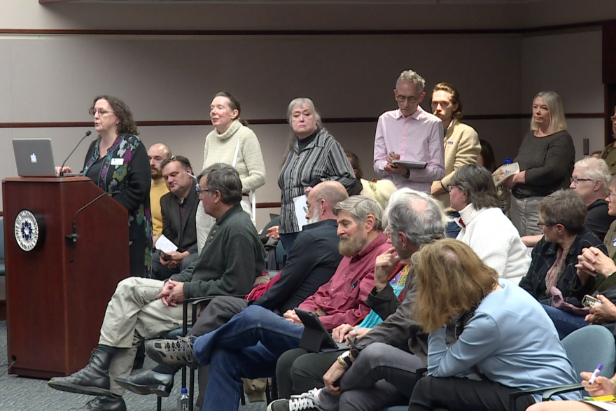 Greater Bloomington Chamber of Commerce Director of Advocacy and Public Policy Mary Morgan gives her thoughts on Chapter 3 of the city's Unified Development Ordinance during the Oct. 22 meeting of the Bloomington City Council