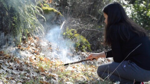 Cultural burning using a pitch stick.