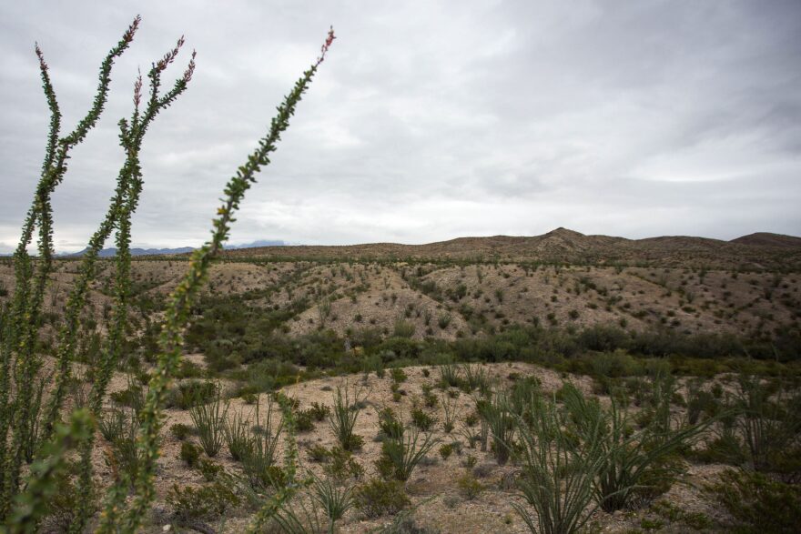 The 100th meridian demarcates the lush, green landscape of the eastern United States from the more arid land found out west, like that seen here in Big Bend National Park.