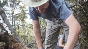 Ben Dalton searches for salamanders