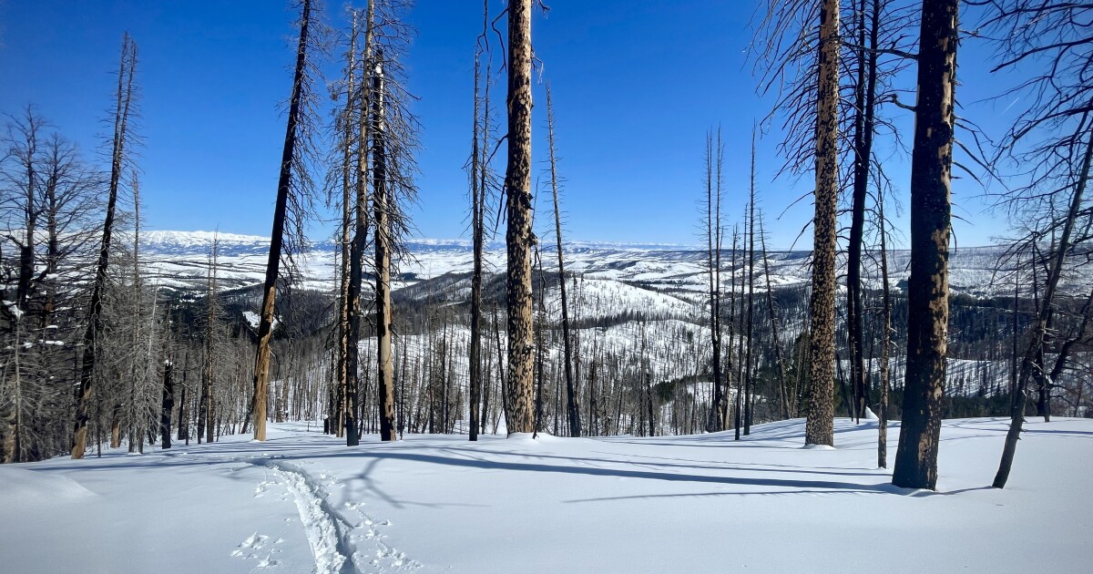 Wyoming has seen two avalanche deaths this season. A forecaster shares what to watch out for