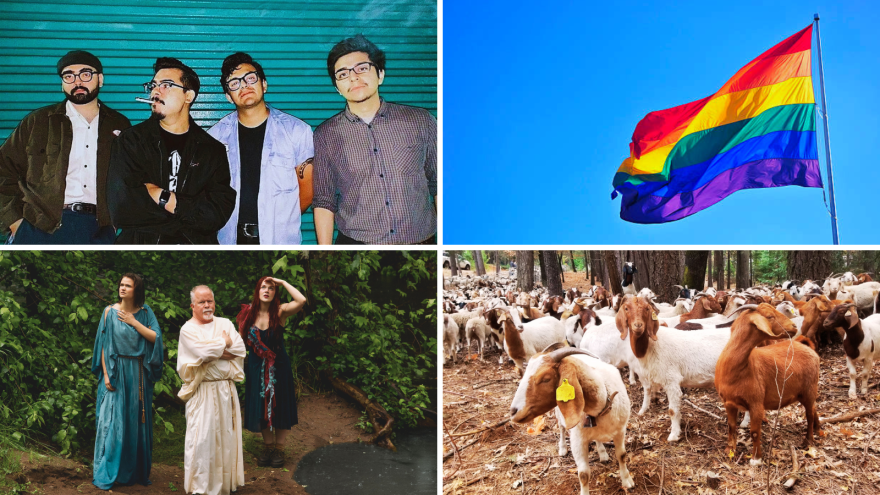 From left to right: 3LH, Stonewall Alliance Chico Pride Festival, The Tempest & Paradise Grazing Festival.