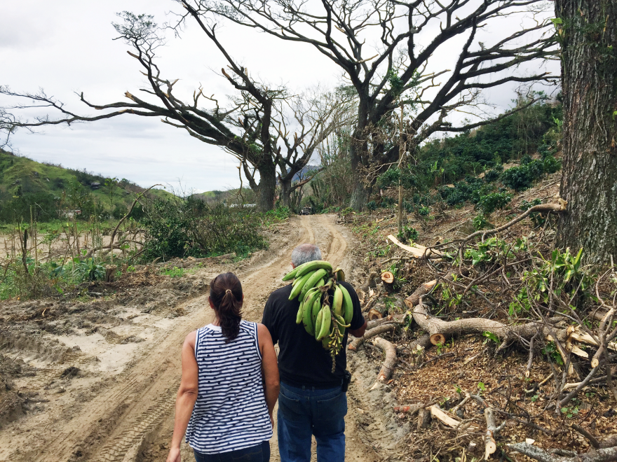 Rebecca and Roberto Atienza return from surveying damage to their coffee farm. Roberto is carrying a fallen plantain bunch he planned to give to a friend.