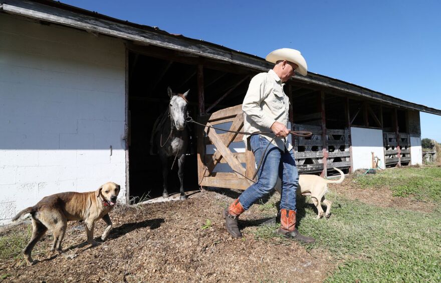 Tad Corrigan outside a barn with dogs and a horse