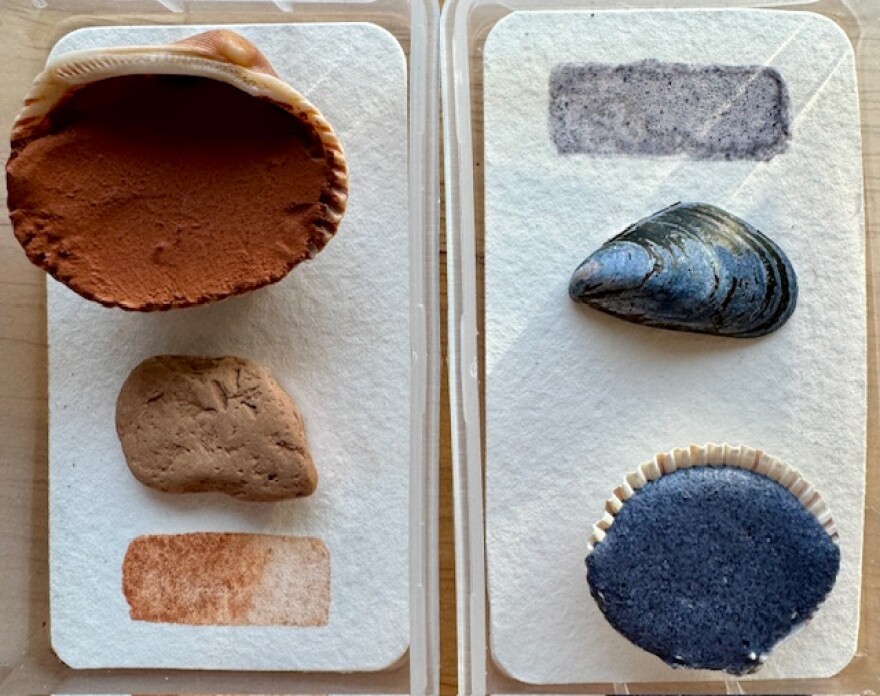 Stripes of paint placed next to a rock, a mussel shell and shells filled with pigment made by Karyn Murphy.