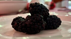 A plate of blackberries.