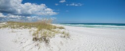 beachdunes_pano3jpg_39539711474_o.jpg