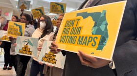 People hold up signs that read "Don't Rig Our Voting Maps" and "Partisan Power Grab" 