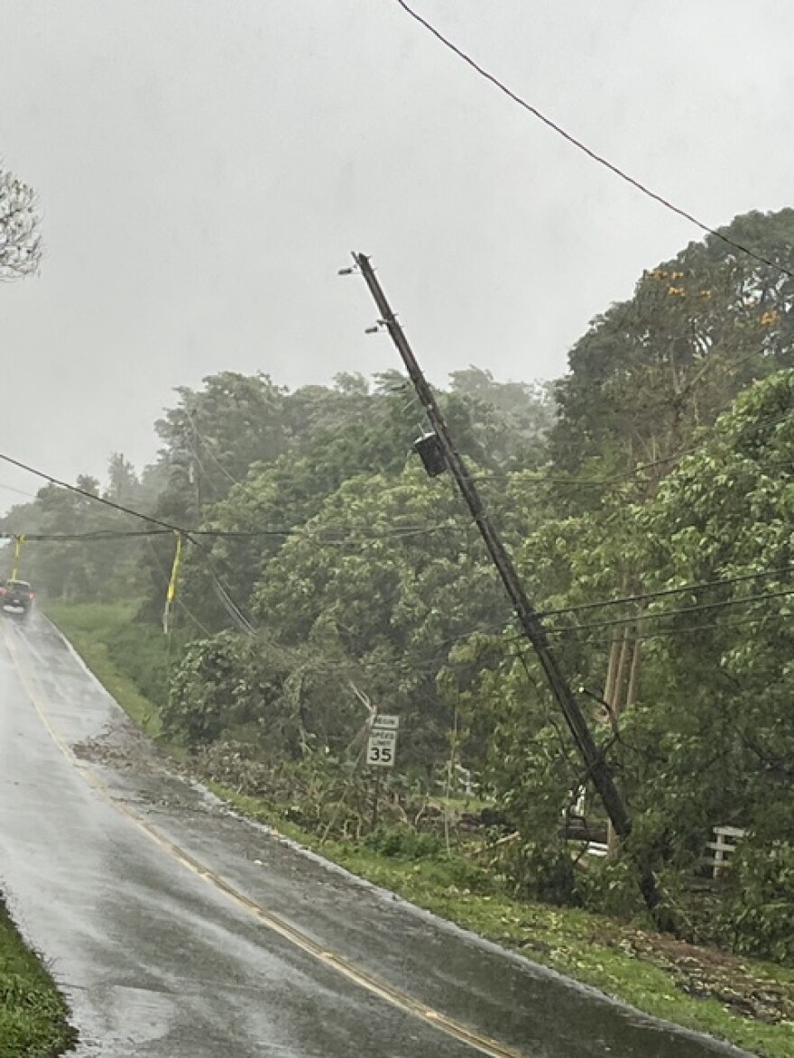 A utility pole and power lines are seen being pulled down by broken tree branches on Monday, Aug. 17, in Kaloko Mauka on Hawaiʻi Island.