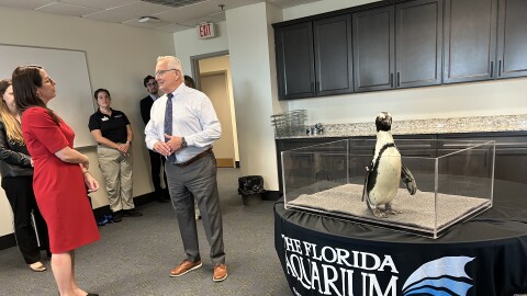 A penguin in a glass box to the right on a tablecloth that says The Florida Aquarium with a man and woman talking to the left