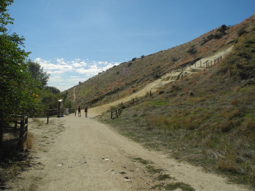 Camel's Back Park North End Trail Hill Hiker