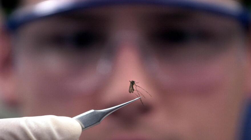 West Nile Virus can be spread to humans by infected mosquitoes.