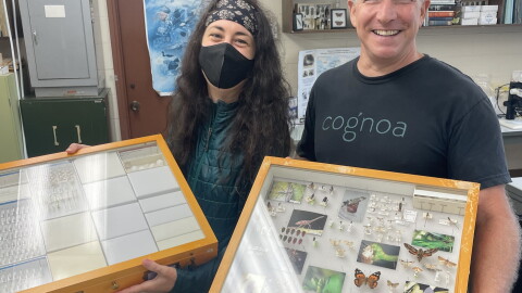 UH Insect Museum researcher Sandra Schachat, left, and museum director Dan Rubinoff, right, display insects preserved as part of the museum's collection. (Oct. 15, 2026)