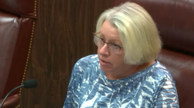 Marion County School Board chair Nancy Thrower. Image: MCPS via YouTube