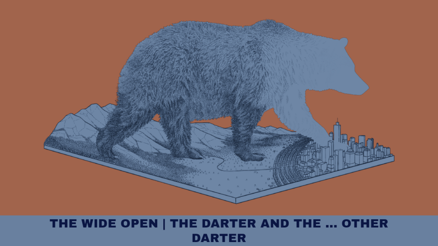 The Wide Open: The Darter and the … Other Darter - Extra