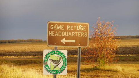 A sign points to the headquarters of the Roseau River Wildlife Management Area, which features the Pine to Prairie Birding Trail and premium wildlife viewing.