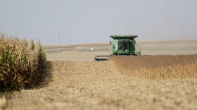 Combine tractor harvests a field. 