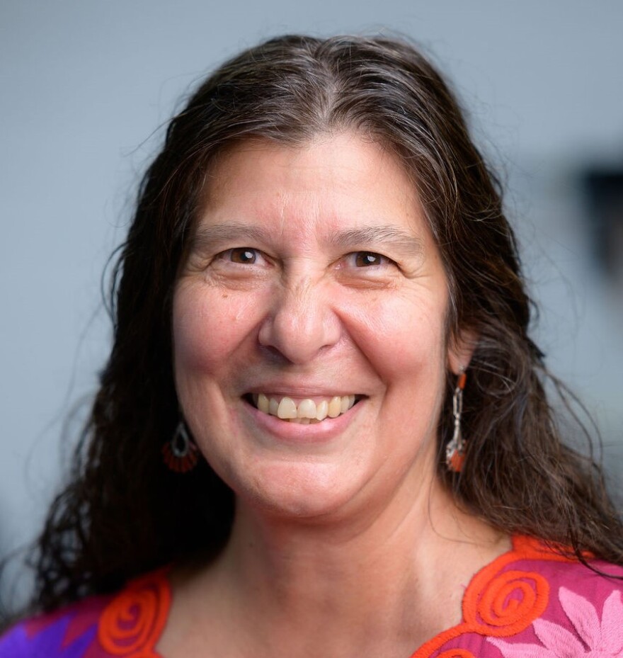 Sara P. Chavarria, UA assistant dean for research and assistant director for STEM, leads the NewFoS education component.