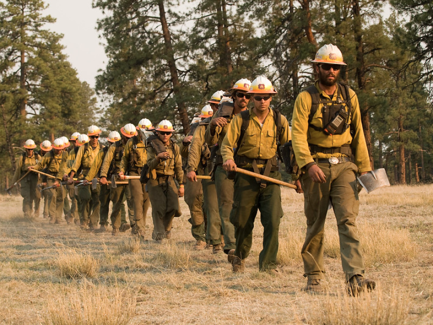 A crew of firefighters walking through a forest.