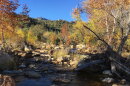 Sabino Creek 2