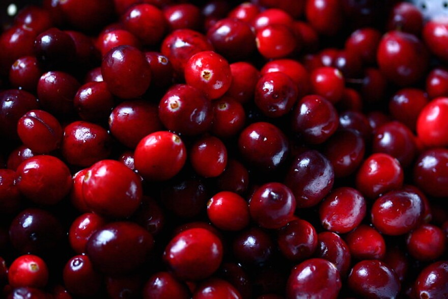 Cranberry extracts can make bacteria more susceptible to antibiotics, and prevent them from developing resistance. 