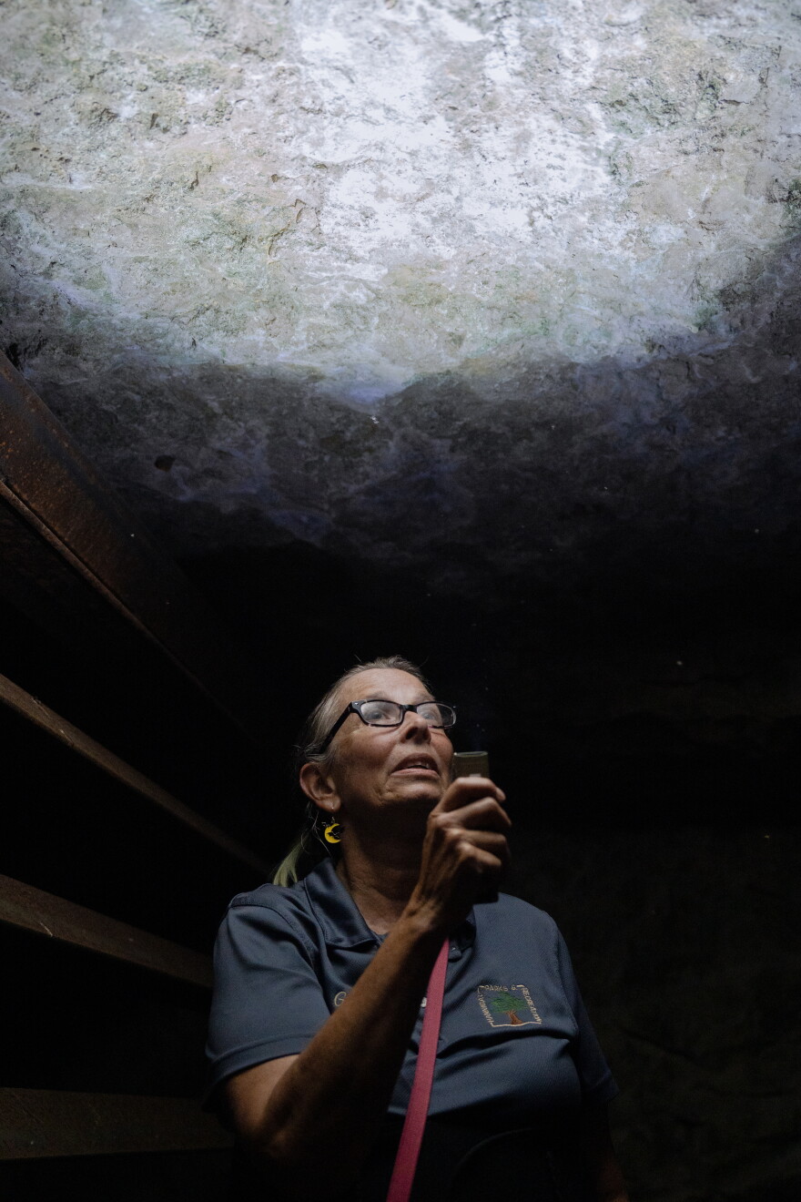 Hannibal Parks and Recreation nature interpreter Gale Rublee shines a light toward the ceiling of an abandoned limestone mine during a guided night hike to observe endangered Indiana bats on Oct. 10 at Sodalis Nature Preserve in Hannibal.