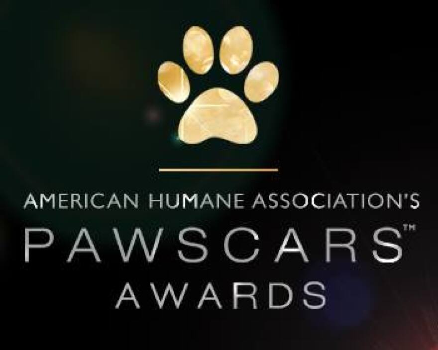PAWSCARS Awards 2016