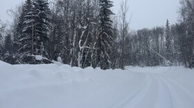 The National Weather Service is forecasting 12 to 18 inches of snow accumulation from Sunday to Tuesday in the Fairbanks North Star Borough.