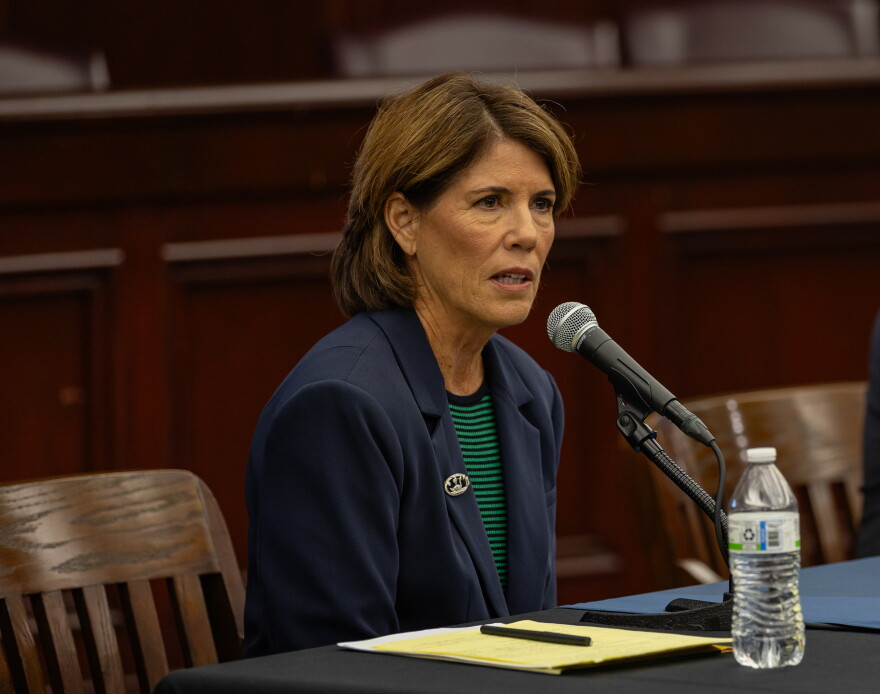Democratic candidate for governor Helena Foulkes participates in a forum at Roger Williams University School of Law. Credit: Rose Wheeler/Ocean State Media