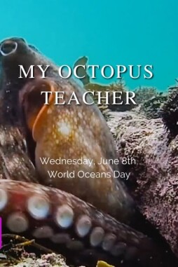 World Oceans Day - Website Event Page.jpg