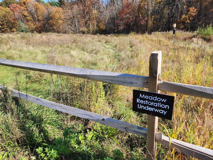 A fenced area with a sign that says "Meadow Restoration Underway"