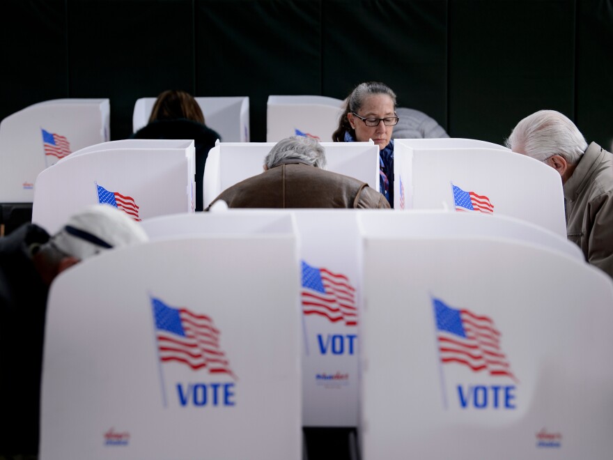 Voters in Potomac, Maryland cast their ballots during early voting two weeks ahead of the 2018 midterm elections.