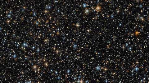 This image was captured by the NASA/ESA Hubble Space Telescope’s Advanced Camera for Surveys (ACS), a highly efficient wide-field camera covering the optical and near-infrared parts of the spectrum. While this lovely image contains hundreds of distant stars and galaxies, one vital thing is missing — the object Hubble was actually studying at the time! This is not because the target has disappeared. The ACS actually uses two detectors: the first captures the object being studied — in this case an open star cluster known as NGC 299 — while the other detector images the patch of space just ‘beneath’ it. This is what can be seen here. Technically, this picture is merely a sidekick of the actual object of interest — but space is bursting with activity, and this field of bright celestial bodies offers plenty of interest on its own. It may initially seem to show just stars, but a closer look reveals many of these tiny objects to be galaxies. The spiral galaxies have arms curving out from a bright centre. The fuzzier, less clearly shaped galaxies might be ellipticals. Some of these galaxies contain millions and millions of stars, but are so distant that all of their starry residents are contained within just a small pinprick of light that appears to be the same size as a single star! The bright blue dots are very hot stars, sometimes distorted into crosses by the struts supporting Hubble’s secondary mirror. The redder dots are cooler stars, possibly in the red giant phase when a dying star cools and expands.