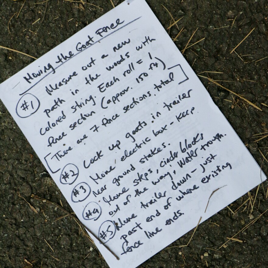 20140902Goats04_web.jpg