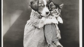"The Nurse," 1914