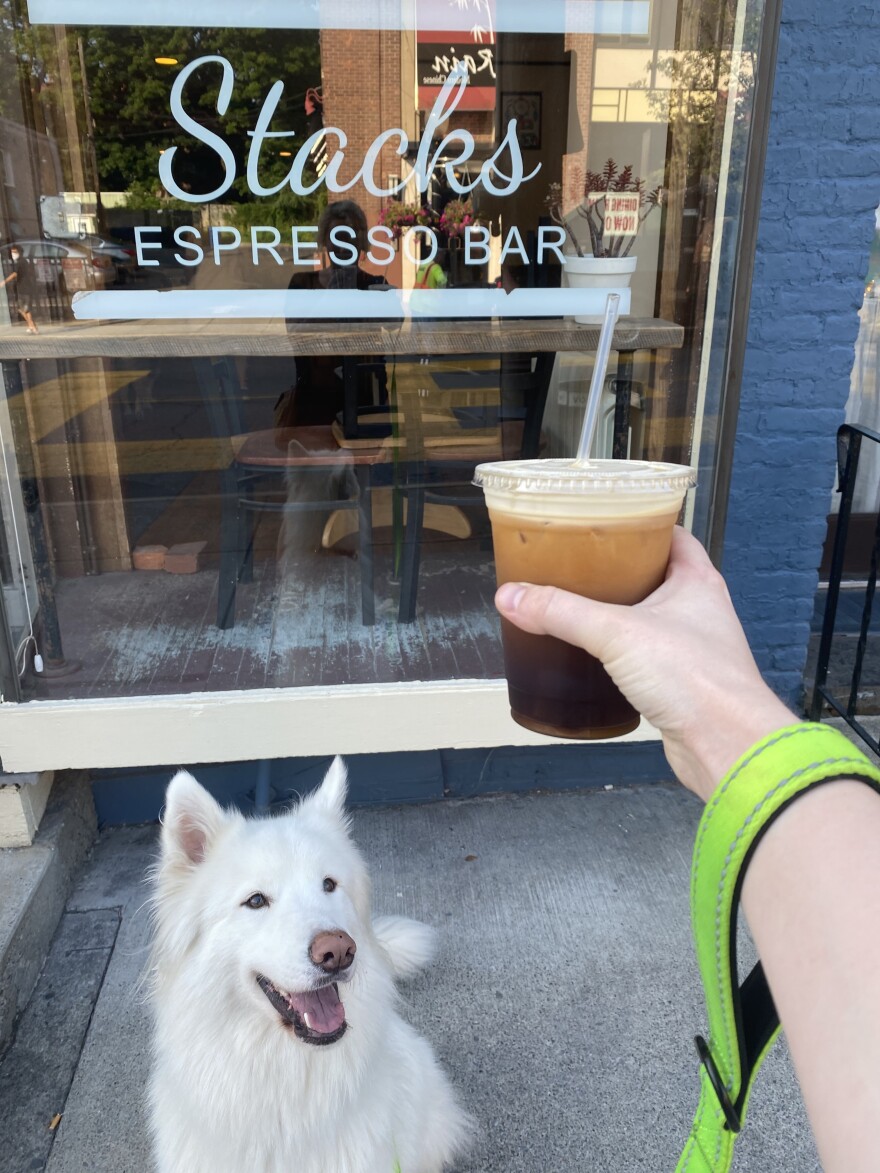 WAMC's  Jackie Orchard visits Stacks Espresso Bar in Albany with her dog, Zero. 