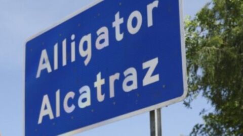 State officials have said they built the "Alligator Alcatraz" detention facility to help in the federal efforts to deport people in the country illegally.