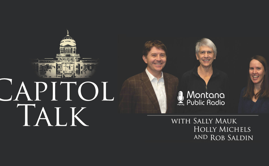 Capitol Talk logo with an illustration of the state Capitol next to host Sally Mauk, reporter Holly Michels, and Political Science professor Rob Saldin