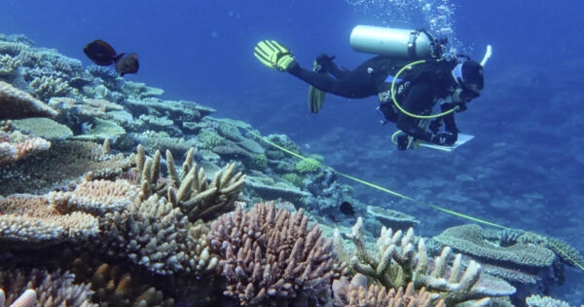Scientists are using new technology to save the Great Barrier Reef ...