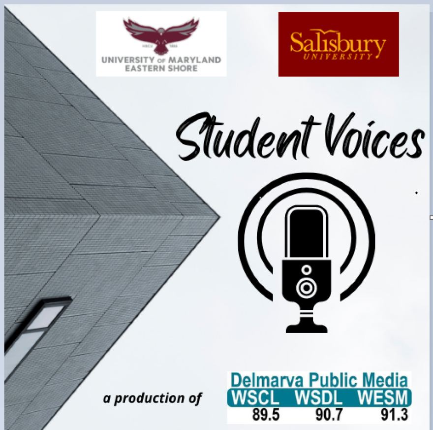 student voices 1.png