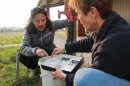 Entomologist Mary Liz Jameson, right, shows Luz Horton which kinds of dung beetles likely live on the land where she and her husband, Jamin Horton, own a bison ranch.