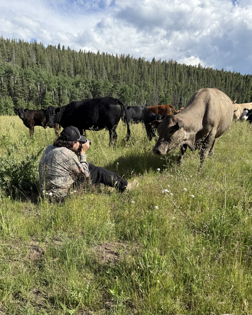 Jacob Gutierrez snaps a photo of a cow on a ranch in New Mexico.