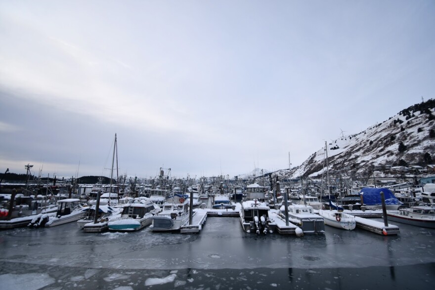 Kodiak’s harbor, January, 2020. (Photo by Kavitha George/KMXT)